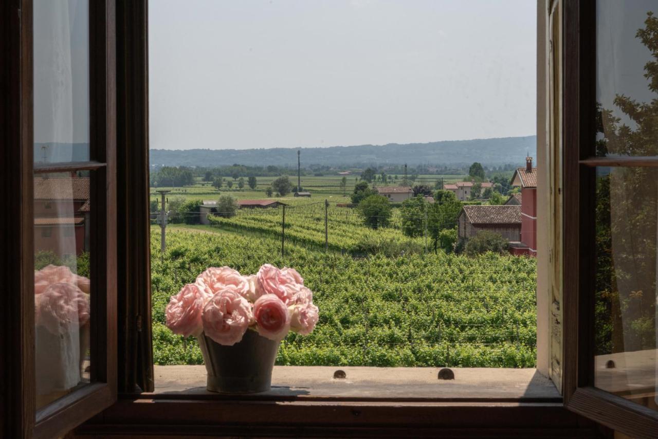 ファッラ・ディ・ソリーゴ Fiori&Vigne Di Cecilia Marconヴィラ エクステリア 写真